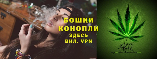 сатива Нея