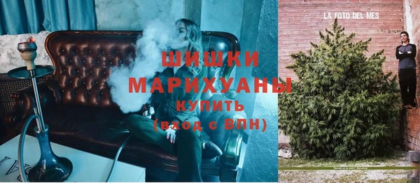 сатива Нея